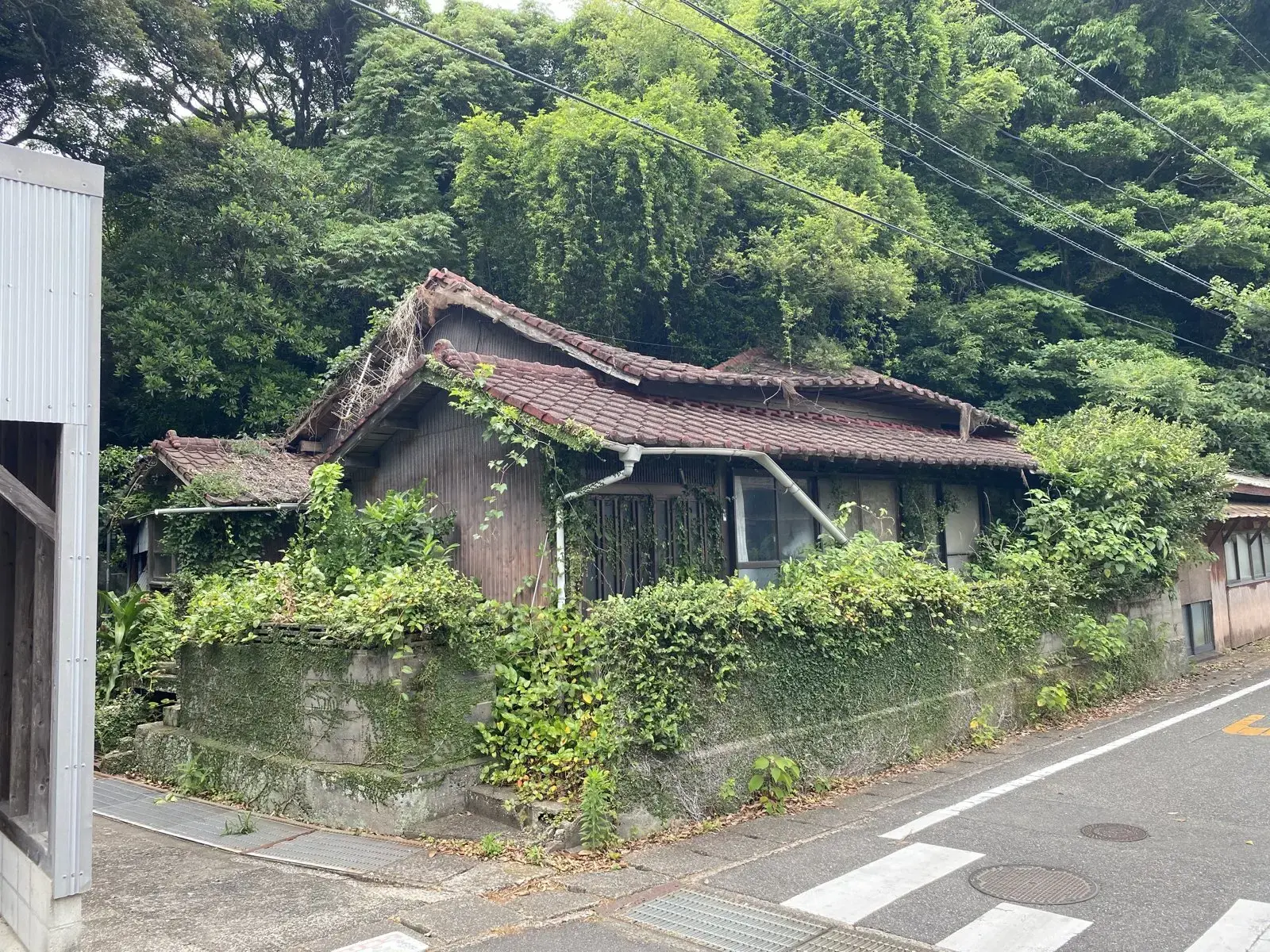 解体前。瓦屋根の平屋に草が覆いかぶさっている